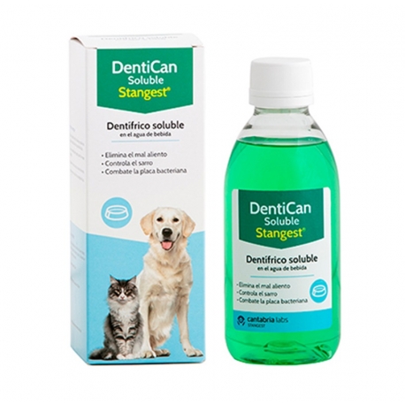 Stangest-DentiCan Soluble para Perro y Gato (1)