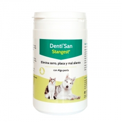 Stanvet-Denti'San para Perro (1)