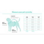 Freedog Basic Arnes Para Perros en H Color Lila