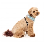 Fuzzyard Arnés Para Perros En H Mint Fizz