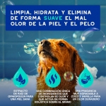 Douxo Skin & Coat Spa Champú Antiolor para Perros