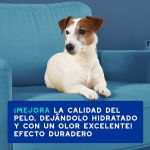 Douxo Skin & Coat Spa Champú Antiolor para Perros