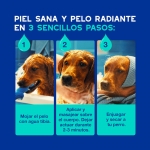 Douxo Skin & Coat Spa Champú Antiolor para Perros