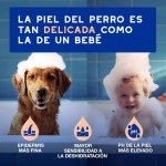 Douxo Skin & Coat Spa Champú Control Muda de Pelo para Perros