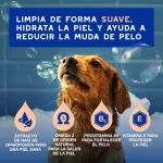 Douxo Skin & Coat Spa Champú Control Muda de Pelo para Perros