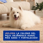 Douxo Skin & Coat Spa Champú Control Muda de Pelo para Perros