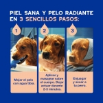 Douxo Skin & Coat Spa Champú Control Muda de Pelo para Perros