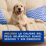 Douxo Skin & Coat Spa Acondicionador Hidratante para Perros con Avena