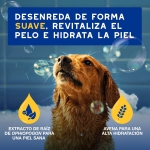 Douxo Skin & Coat Spa Acondicionador Hidratante para Perros con Avena