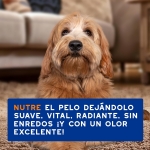 Douxo Skin & Coat Spa Spray Desenredante para Perros