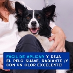 Douxo Skin & Coat Spa Mousse Limpieza Express para Perros