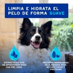 Douxo Skin & Coat Spa Mousse Limpieza Express para Perros