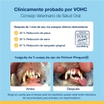 Divasa-Plaque off Higiene Dental (1)