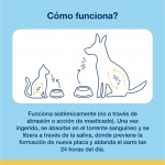 Plaqueoff higiene dental para gatos