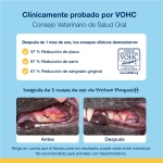 Plaqueoff higiene dental para gatos