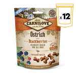 Snack Crunchy Avestruz y Moras