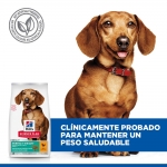SP Adult Perfect Weight Mini (1)