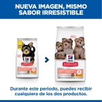Hills Science Plan Perfect Digestion Puppy Small pienso para cachorros sabor pollo