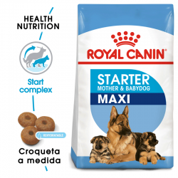 Royal Canin-Maxi Starter Mother&Babydog (1)