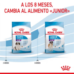 Royal Canin-Giant Puppy (1)