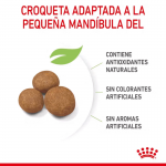 Royal Canin-Giant Puppy (1)