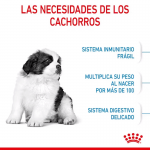 Royal Canin-Giant Puppy (1)