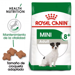 Mini Adulto +8 Años (1)