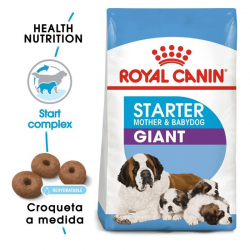 Royal Canin-Giant Starter Mother & Babydog (1)