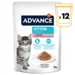 Comida Húmeda con Pavo para Gatitos Jóvenes Advance