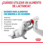 Royal Canin-Leche para cachorros (1)