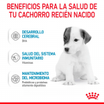 Royal Canin-Leche para cachorros (1)
