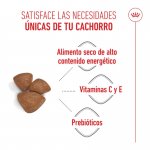 Royal Canin-Mini Starter Mother&Babydog (1)