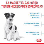 Royal Canin-Mini Starter Mother&Babydog (1)