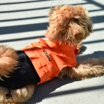 Nayeco Impermeable para Perros XTRM Naranja