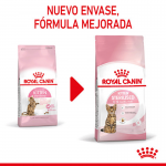 Royal Canin-Kitten (1)