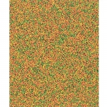 Versele Laga NutriBird B14 Alimento para Periquitos