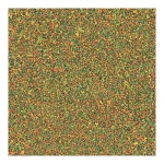 Versele Laga NutriBird C15 Alimento para Canarios y Pájaros Exóticos