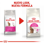 Saco frontal - Royal Canin Savour Exigent Pienso Para Gato
