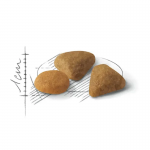 Saco frontal - Royal Canin Savour Exigent Pienso Para Gato