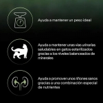 Pro Plan LiveClear Sterilised Adult Pienso para Gatos Esterilizados con Pavo