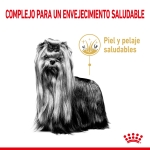Royal Canin Yorkshire Terrier 8+ Pienso Para Perros Senior