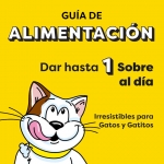 Catisfactions Creamy Snack Cremoso para Gatos con Salmón