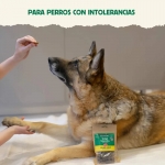 Wild Balance Pelaje Sano Snack Hipoalergénico para Perros con Venado