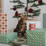 Wild Balance Barf Christmas Comida Húmeda Para Gatos con Pavo y Pescado Especial Navidad