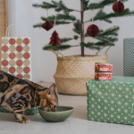 Wild Balance Barf Christmas Comida Húmeda Para Gatos con Pavo y Pescado Especial Navidad