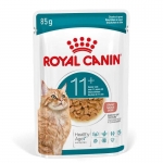 Royal Canin-Ageing +12 Pouch 85gr. (1)