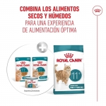 Royal Canin-Ageing +12 Pouch 85gr. (1)