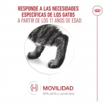 Royal Canin-Aeging +12 Pouch ( Jelly) 85 gr (1)