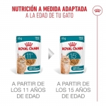 Royal Canin-Aeging +12 Pouch ( Jelly) 85 gr (1)