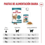 Royal Canin-Ageing Sterilised +12 Años (1)